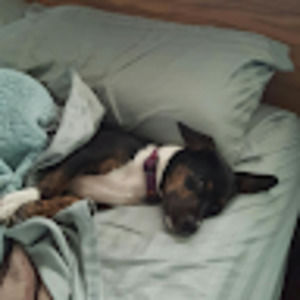 Meet your Posher, William